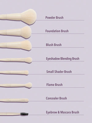 Pro Core Brush kit